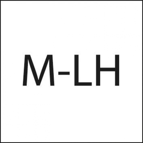 картинка Машинный метчик DIN371 HSSE форма C левый M5 FORMAT 1724 0050 Fplus от магазина "Элит-инструмент"