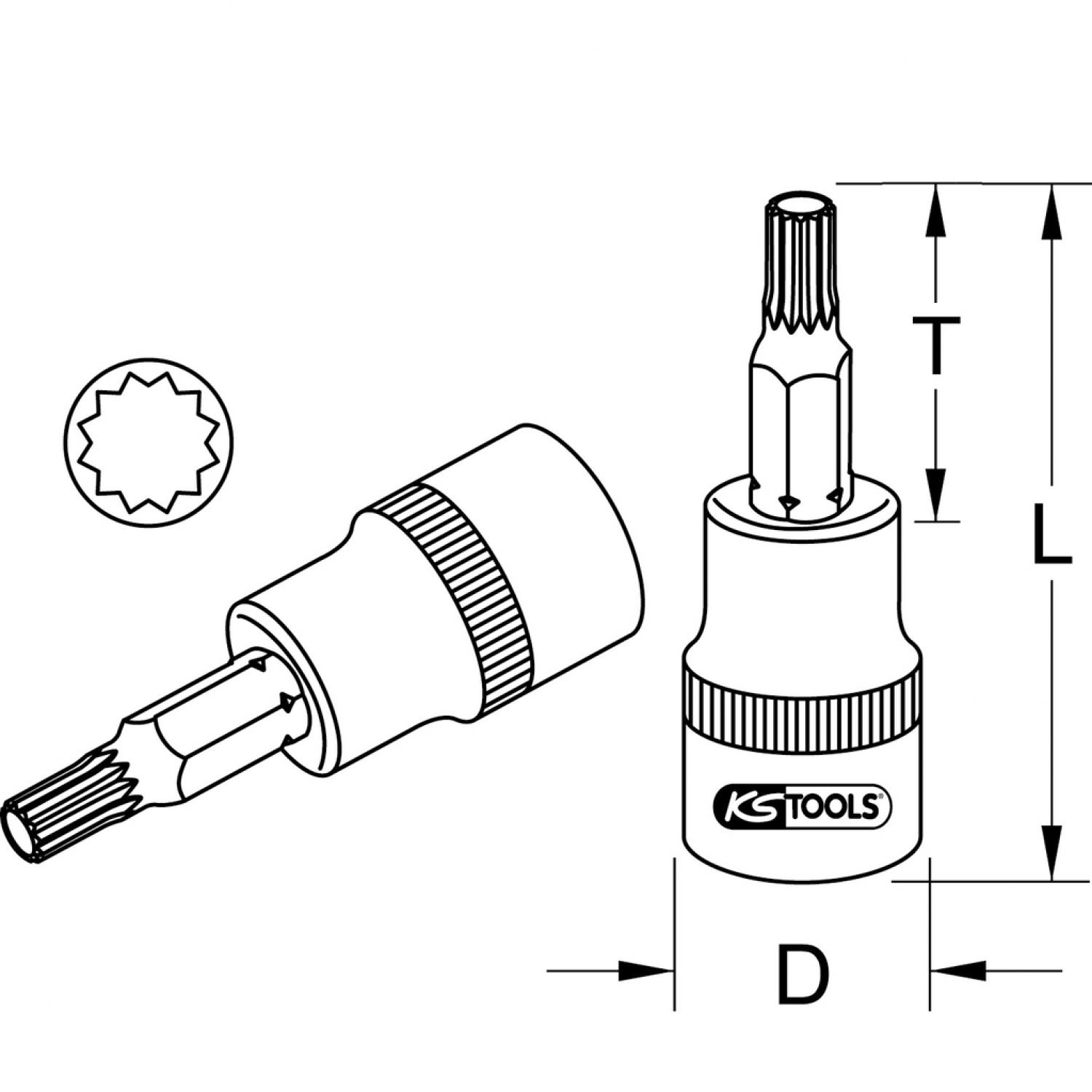 картинка Торцовая головка XZN 1/2'' с битом, M14, 55 мм от магазина "Элит-инструмент"