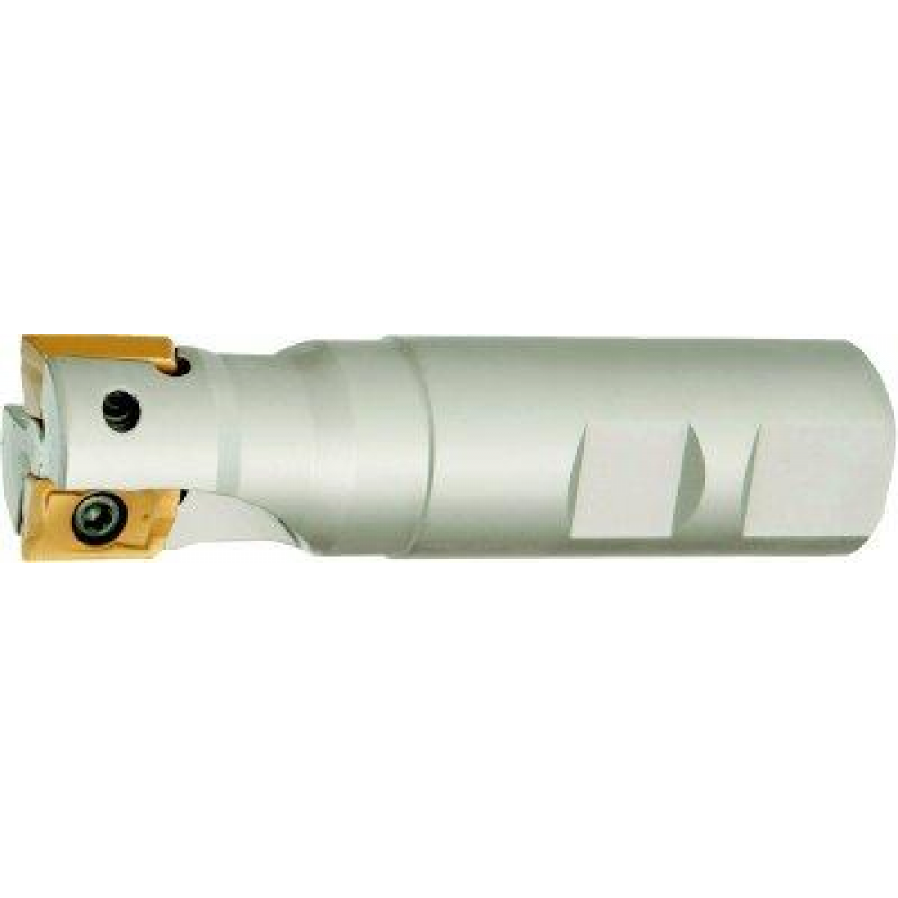 картинка Фреза концевая цилиндрическая D32мм Z3 для APET/APMT/APKT 1604. FORMAT 2999 0505 Fplus от магазина "Элит-инструмент"