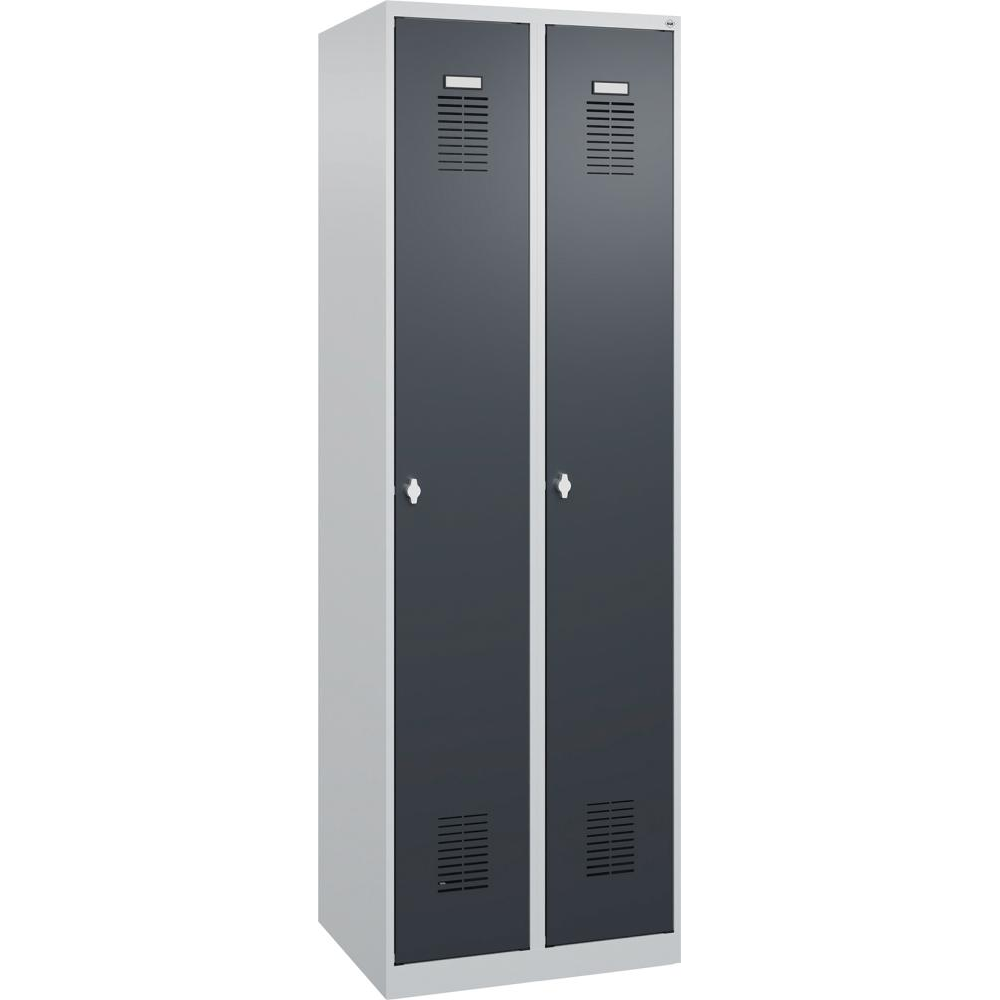 картинка Гардероб BASIC Ш600хГ500хВ1850 мм RAL 7035/7016, 2 отделения 3037 2531 Fplus от магазина "Элит-инструмент"