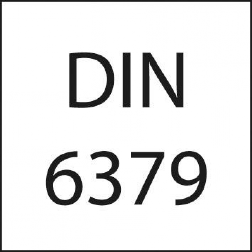 картинка Шпилька DIN6379 M20x250 мм FORMAT 3901 0230 Fplus от магазина "Элит-инструмент"