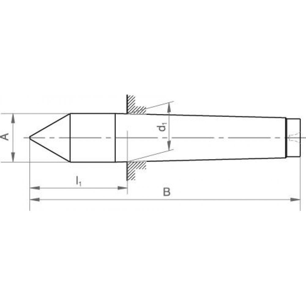картинка Центрирующая точка фиксированная DIN806 MK 2 WS FORMAT 3330 0005 Fplus от магазина "Элит-инструмент"