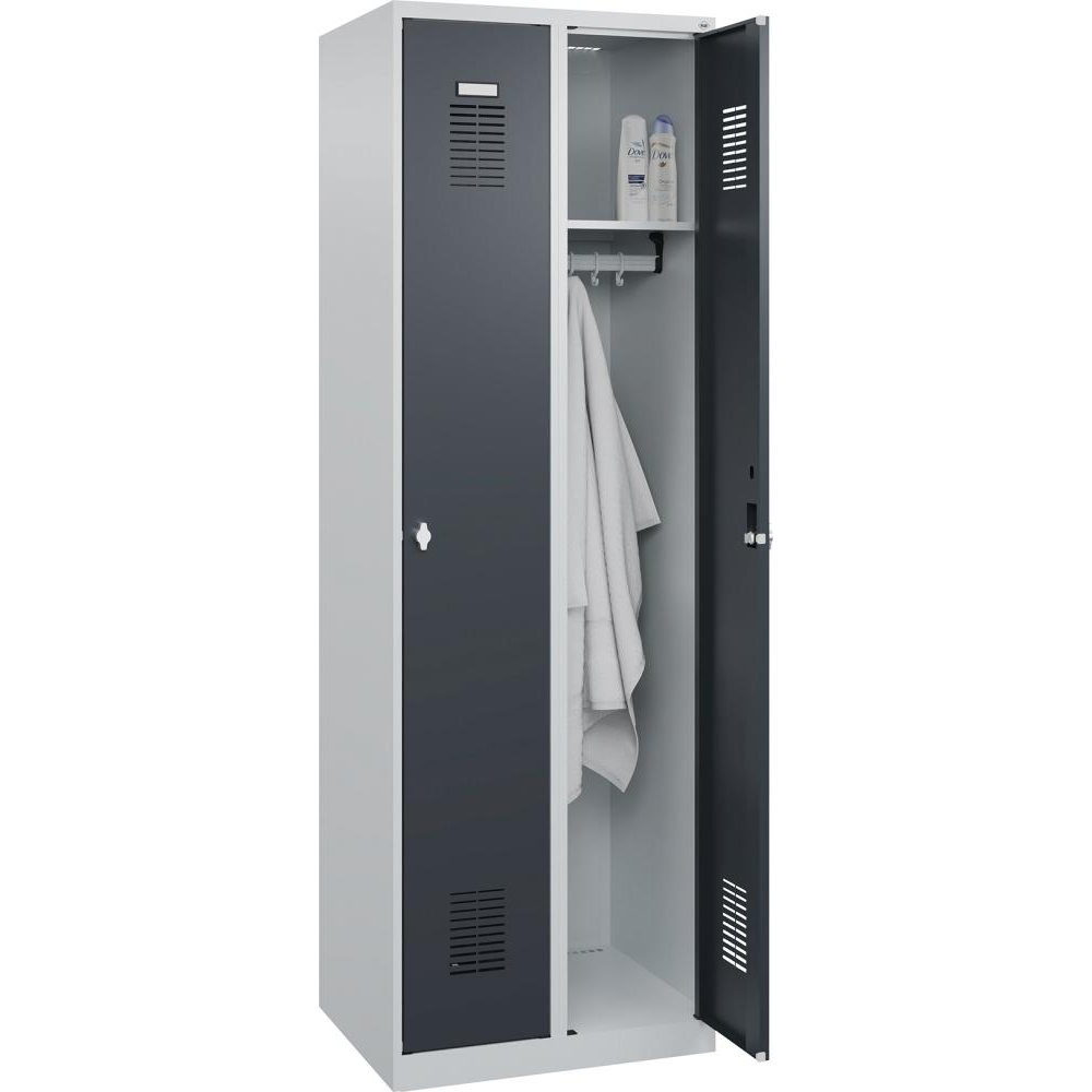картинка Гардероб BASIC Ш600хГ500хВ1850 мм RAL 7035/7016, 2 отделения 3037 2531 Fplus от магазина "Элит-инструмент"