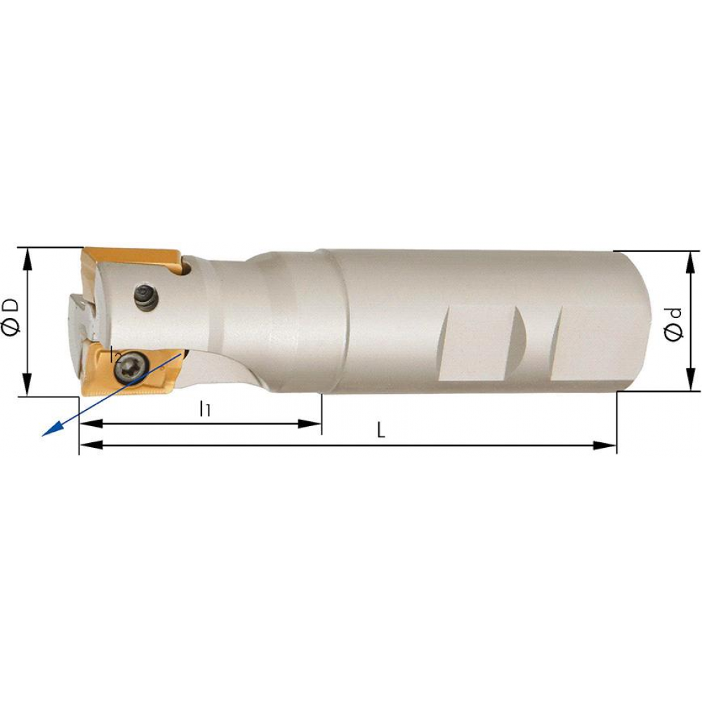 картинка Фреза концевая цилиндрическая D25мм Z2 для APET/APMT/APKT 1604. FORMAT 2999 0500 Fplus от магазина "Элит-инструмент"